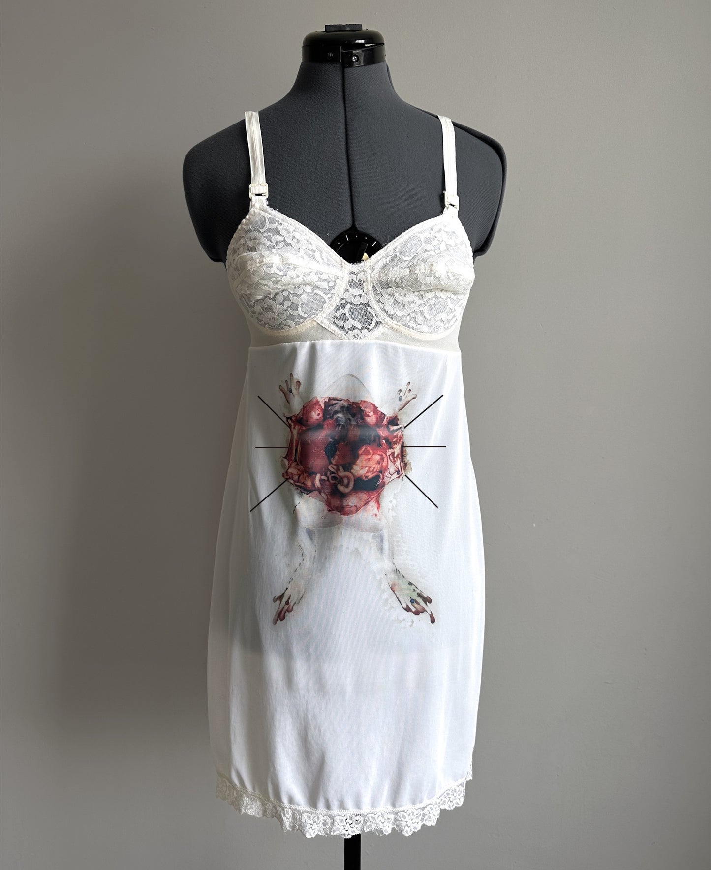 Frog anatomy dress (S)